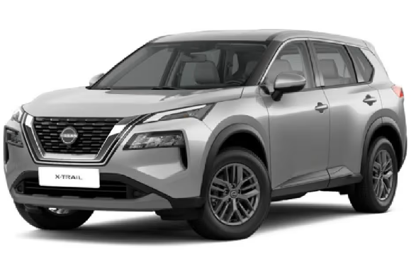 Champagan Silver Metallic