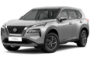 Champagan Silver Metallic