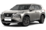 Champagan Silver Metallic