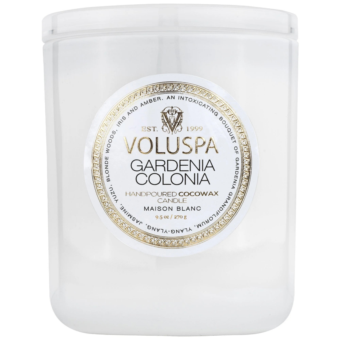 Picture of Classic Gardenia Colonia