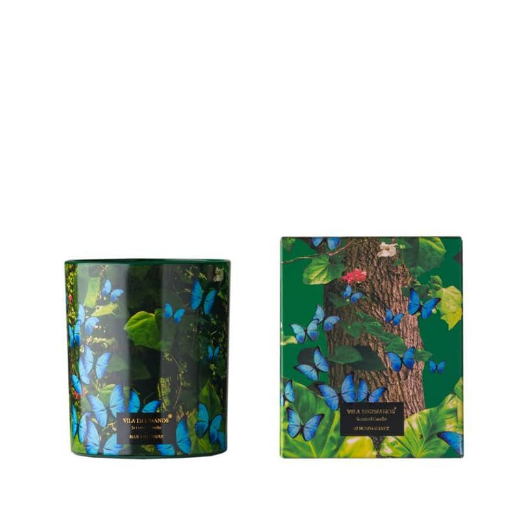 Picture of Jungletopia - Blue Butterfly Candle