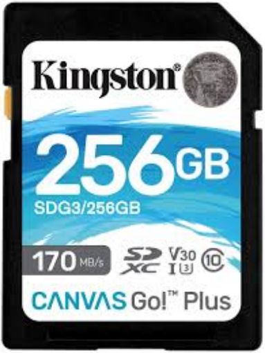 Picture of Kingston 256GB 170Mbps