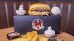 Picture of mashroom bugar