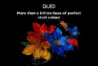 صورة تلفزيون TCL 65P7K-UK QLED 4K الذكي