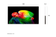 صورة شاشة إل جي 65 بوصة سمارت أوليد (OLED) AI B6 بدقة 4K - OLED65B66LA (موديل 2026)