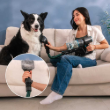 Picture of Cecotec Conga Rockstar 3500 Storm Pet Flex Cordless Vacuum Cleaner