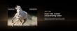صورة شاشة تي سي ال 50 إنش QLED 4K – Google TV – Dolby Vision – 50P7K-UK