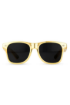 Picture of sunglasses